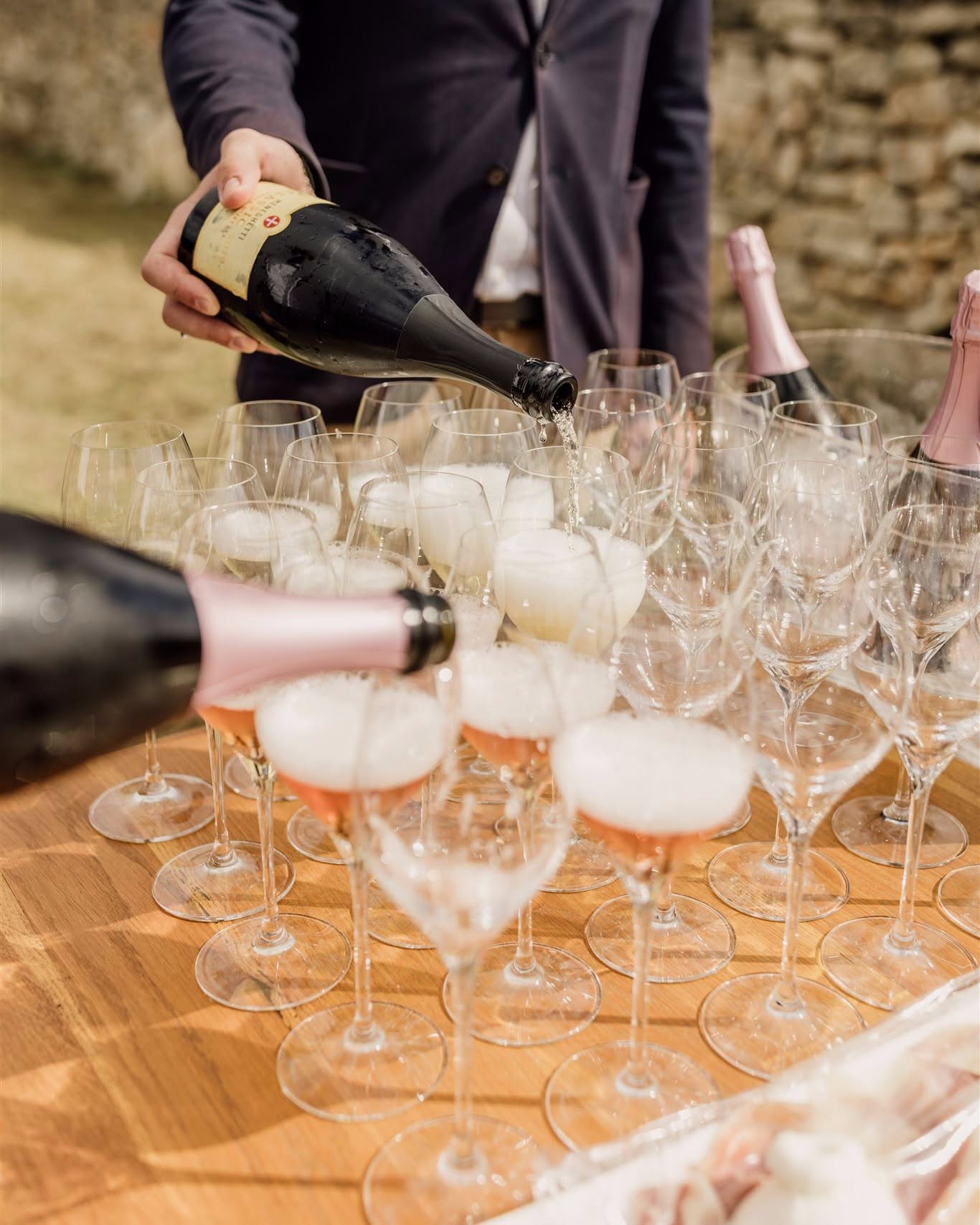 Private Vineyard Tour & Wine Tasting