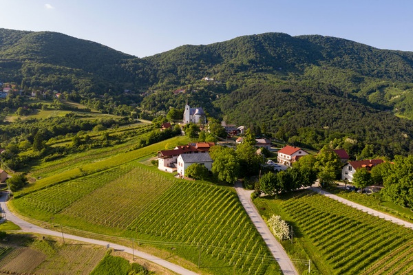 Winery Visit & Wine Tasting