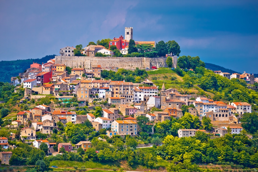 Istria Truffle Hunting and Winery Visit Experience