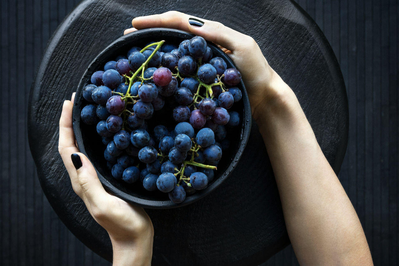 WINE & GASTRONOMY