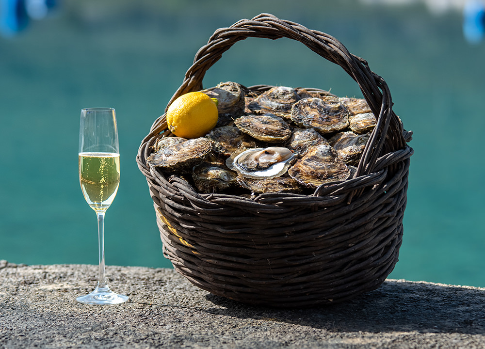 OYSTER FARM VISIT & TASTING