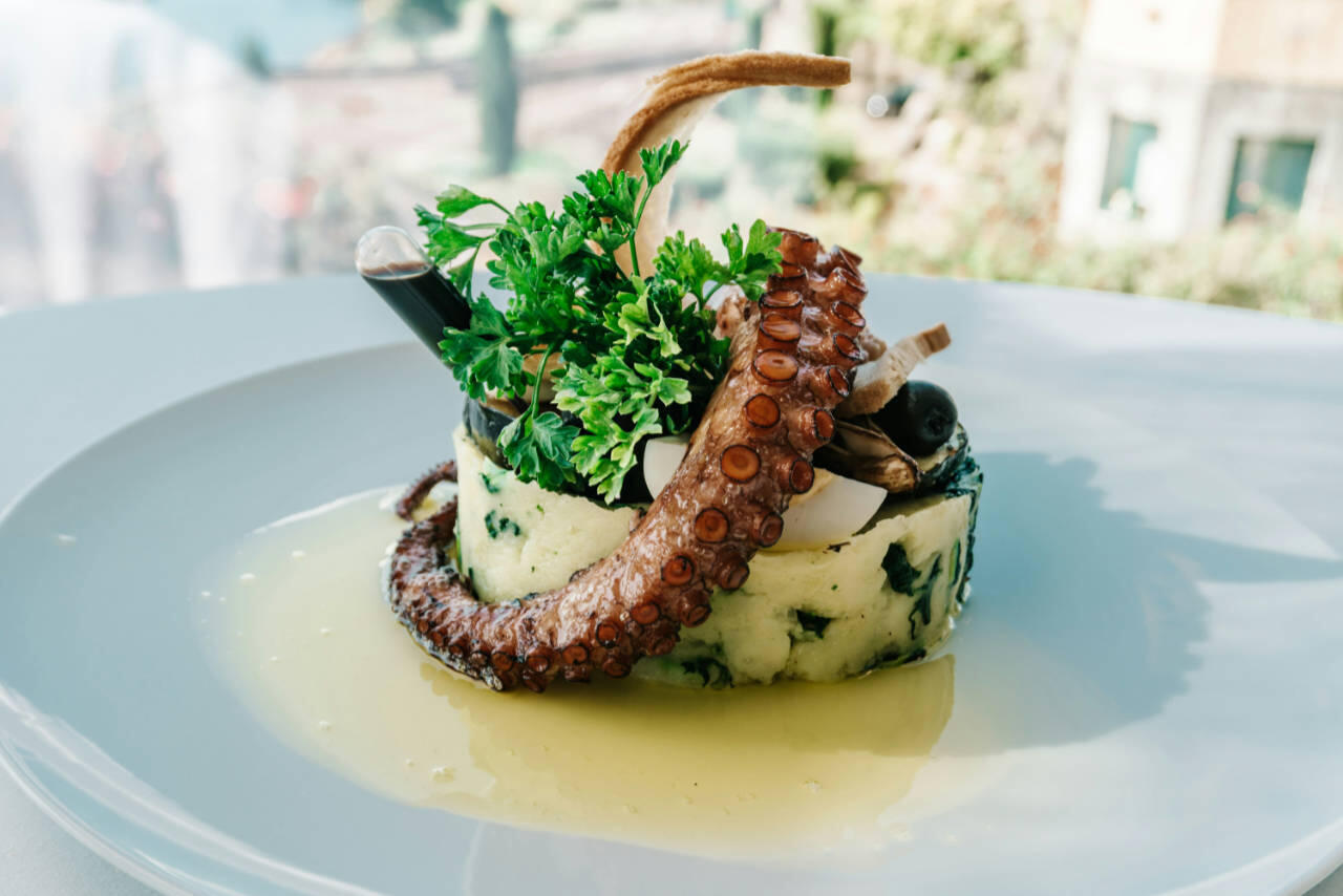 WINE & GASTRONOMY